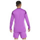 Adidas Ανδρική ποδοσφαιρική φανέλα Tiro 25 Competition Goalkeeper Jersey